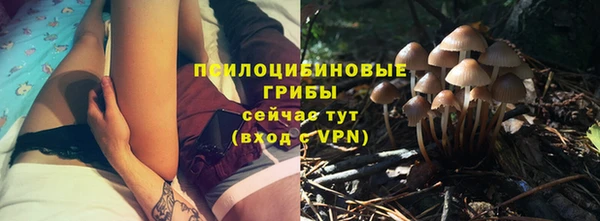 твердый Нязепетровск