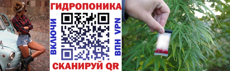 Бошки марихуана планчик Анива